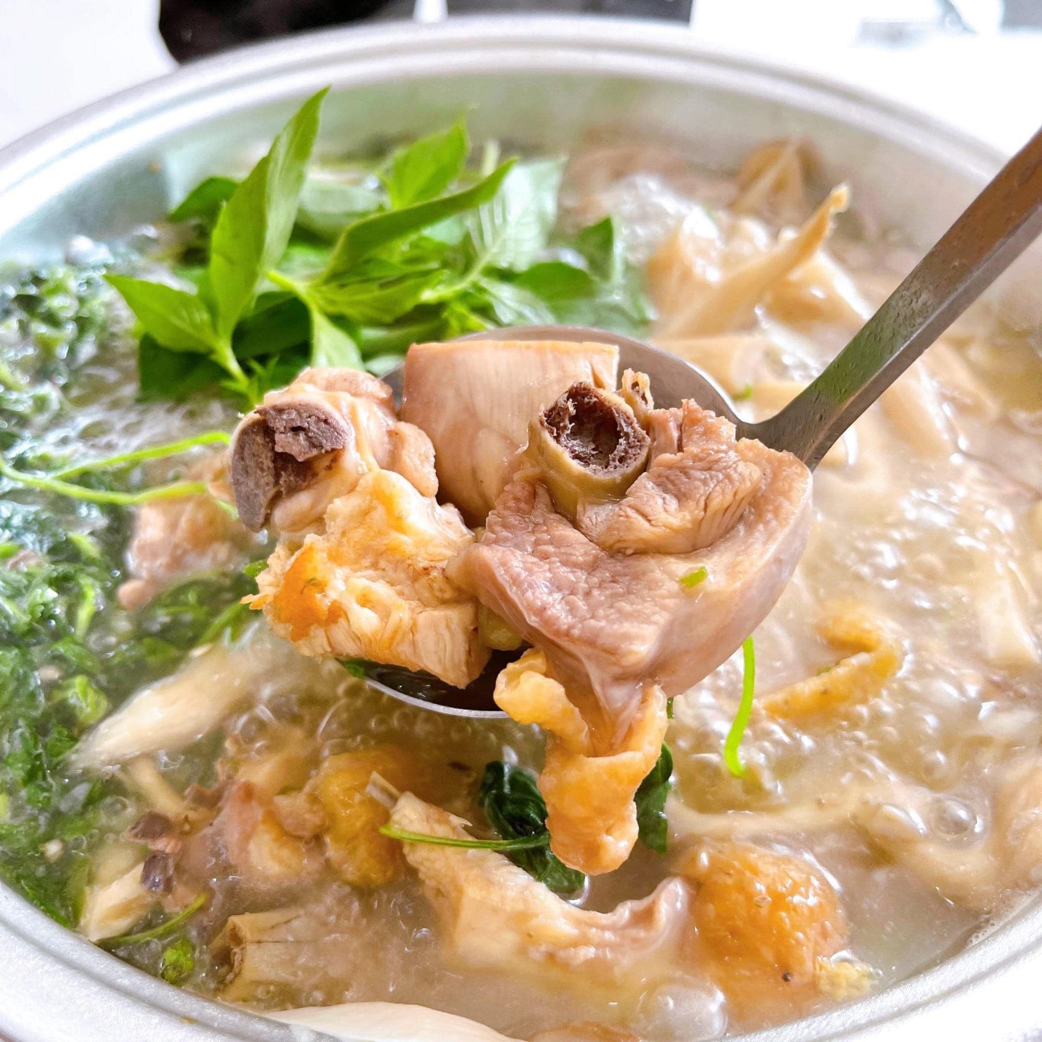 493917489_1216860060443219_4505655280851420131_n